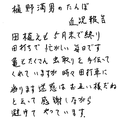 手書きの情報