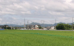 出雲の田園風景